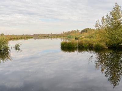 A peat lake reflecting the sky in De Groote Peel National Park