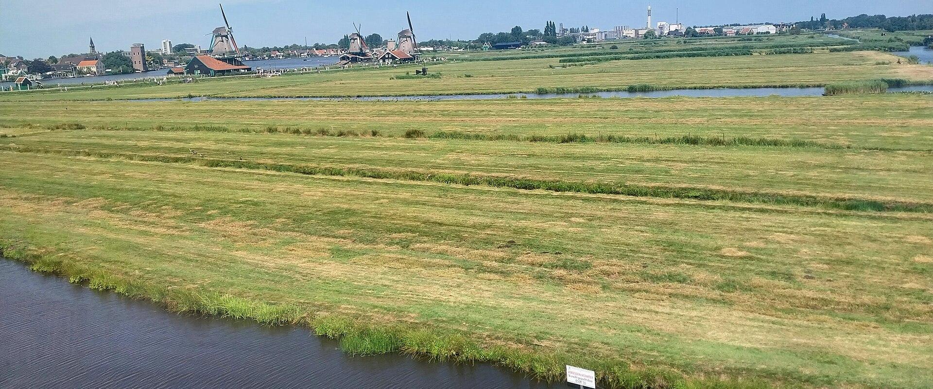 A wide landscape view of a grassy polder field with a canal in the foreground and a cluster of traditional Dutch windmills and buildings along the riverbank in the distance.