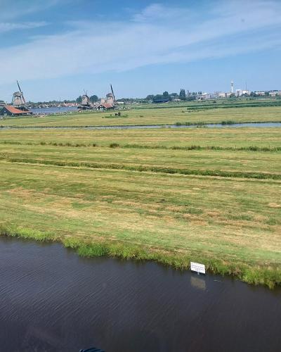 A wide landscape view of a grassy polder field with a canal in the foreground and a cluster of traditional Dutch windmills and buildings along the riverbank in the distance.