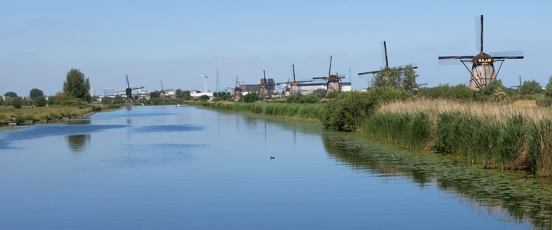 A row of historic wooden windmills lining a canal in a flat, grassy polder landscape under a blue sky.