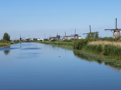 A row of historic wooden windmills lining a canal in a flat, grassy polder landscape under a blue sky.