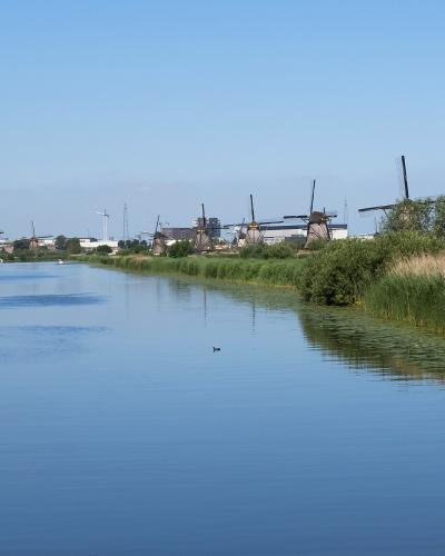 A row of historic wooden windmills lining a canal in a flat, grassy polder landscape under a blue sky.