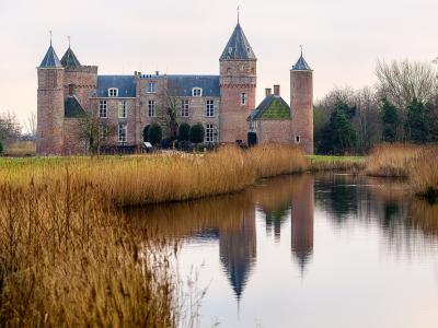 A historic brick castle with multiple towers and a dark roof, reflected in a calm river, surrounded by tall golden reeds and bare trees.