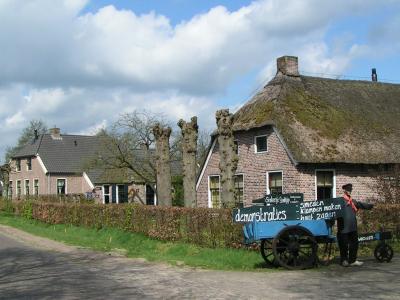 Thatched farmhouses and a horse cart in the museum village of Orvelte