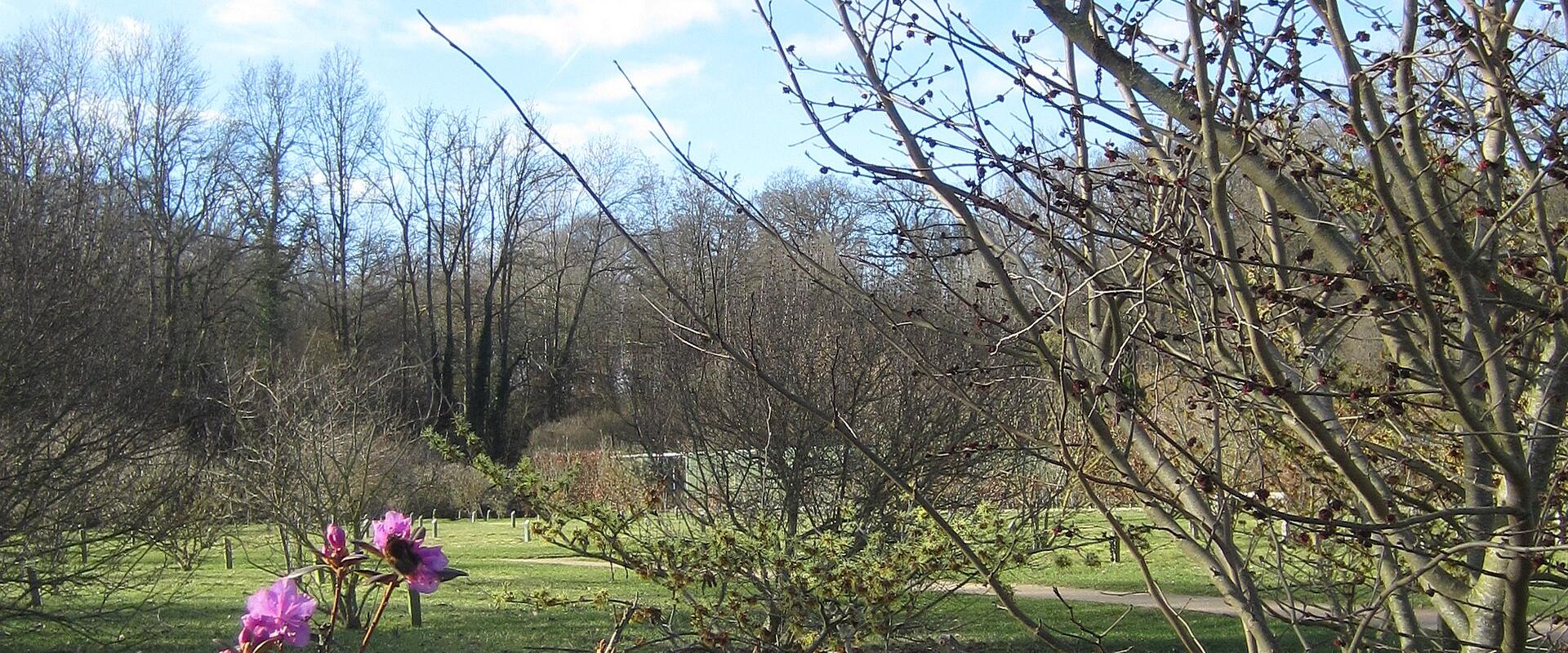 Gouverneurstuin (Governor’s Garden)