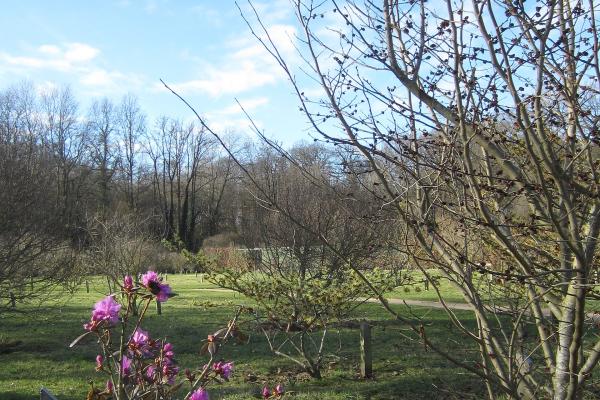Gouverneurstuin (Governor’s Garden)