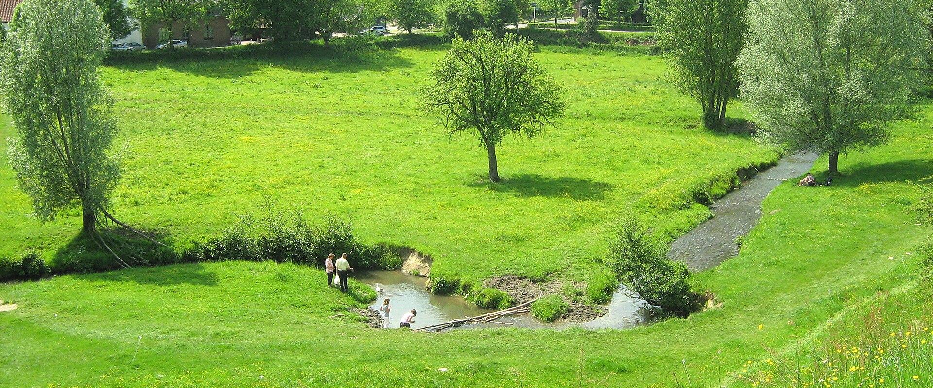 Green meadows and trees along the Gulp stream near Slenaken in the Gulp valley