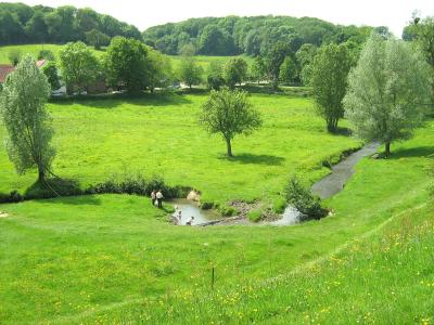 Green meadows and trees along the Gulp stream near Slenaken in the Gulp valley