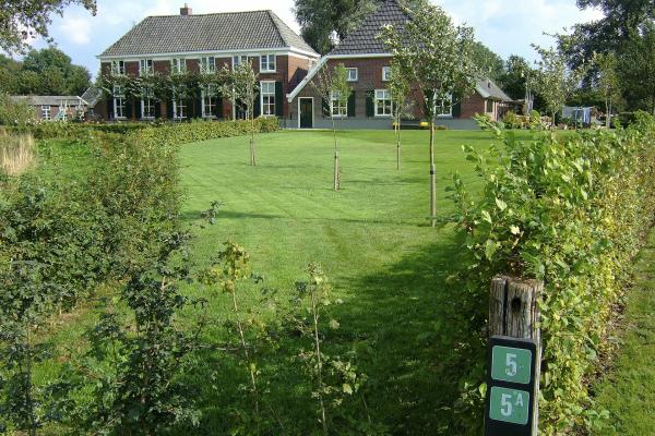 Well-preserved farmhouses