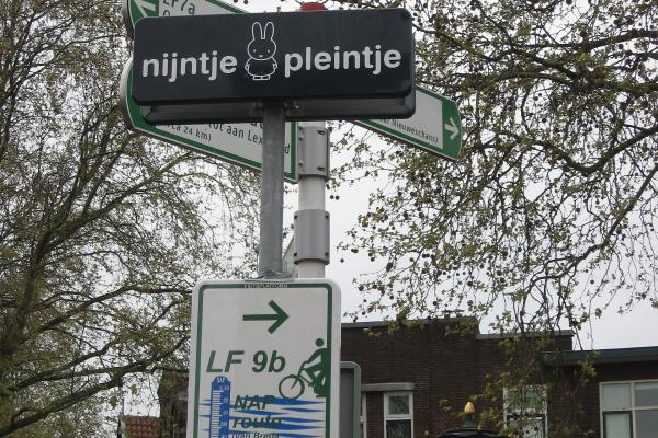 Nijntje Pleintje