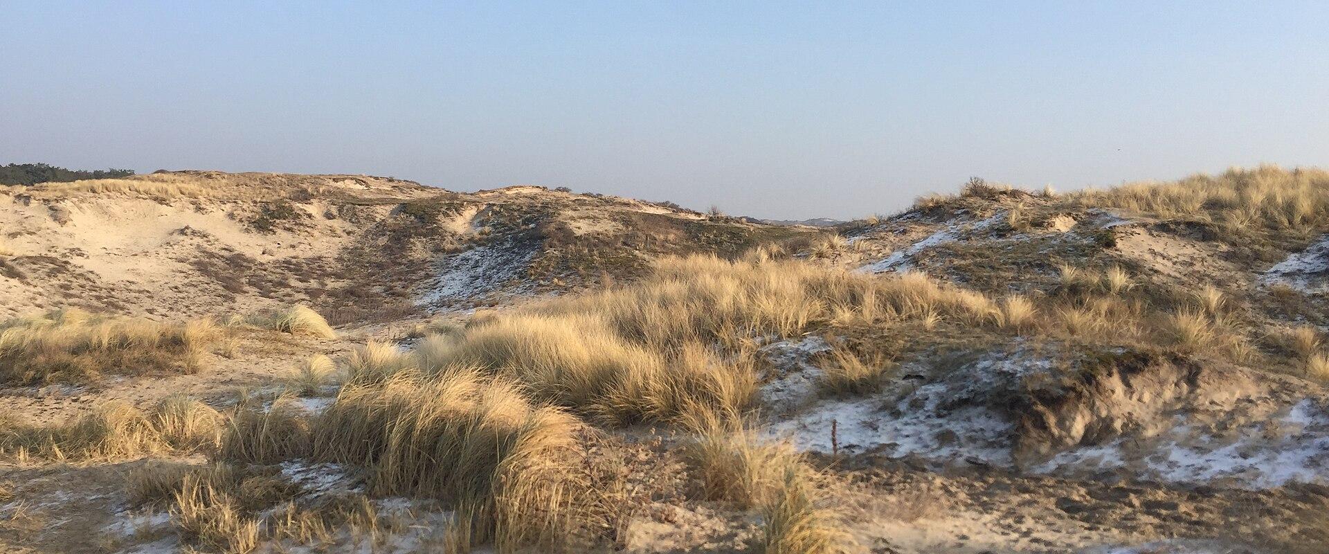 Dune hiking path on the Dutch coast