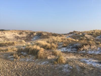 Dune hiking path on the Dutch coast