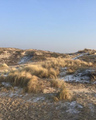 Dune hiking path on the Dutch coast