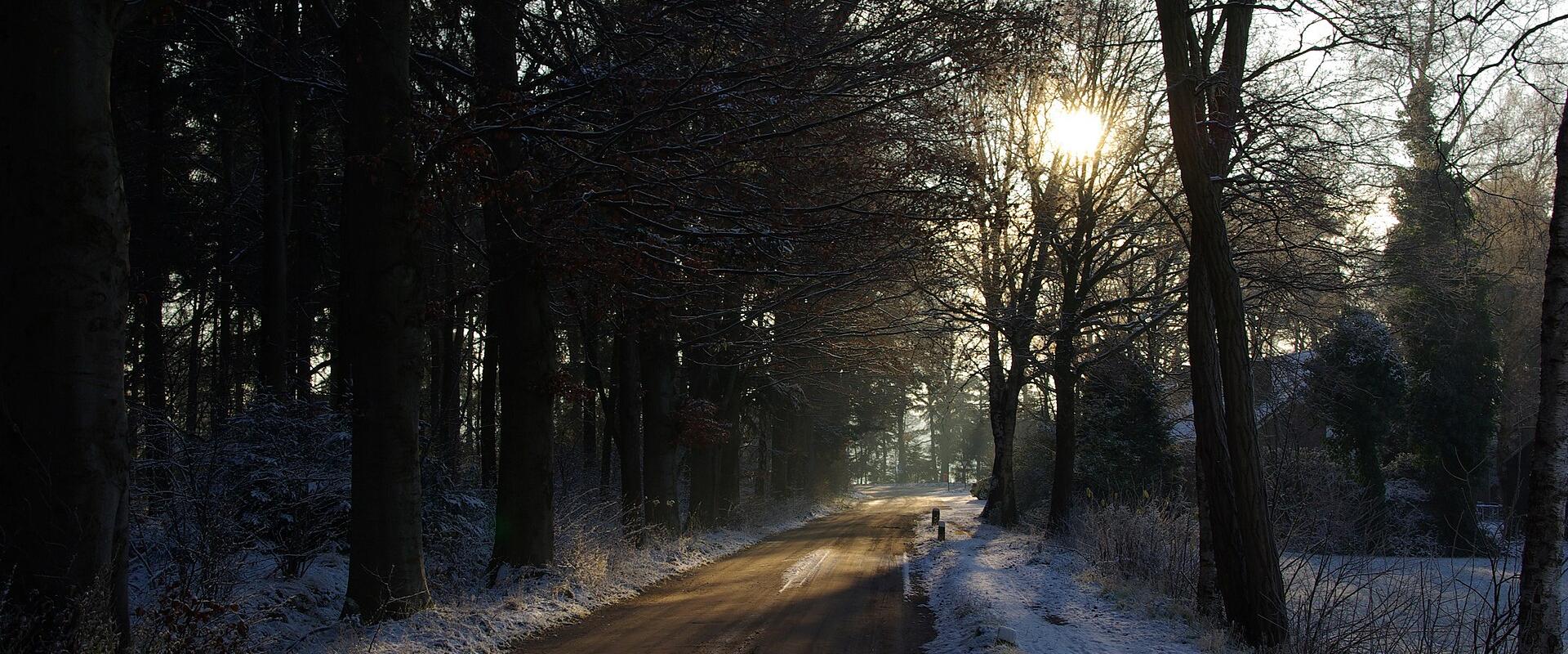 Dutch Winter Holiday Markets