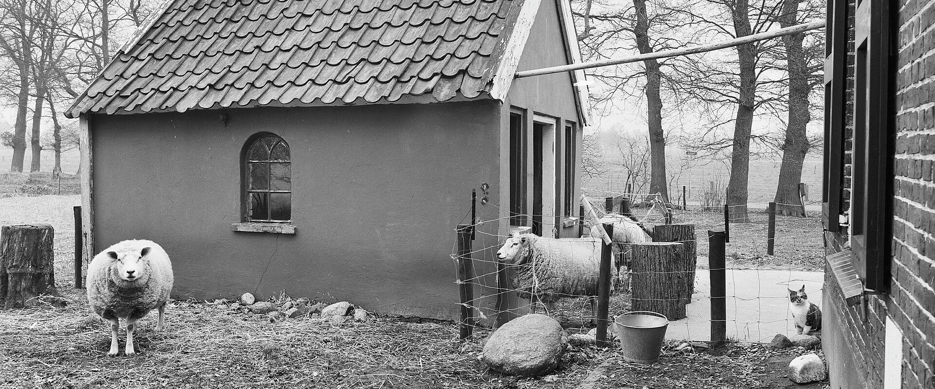 Borkeld