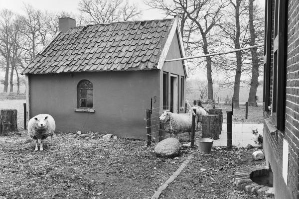 Borkeld