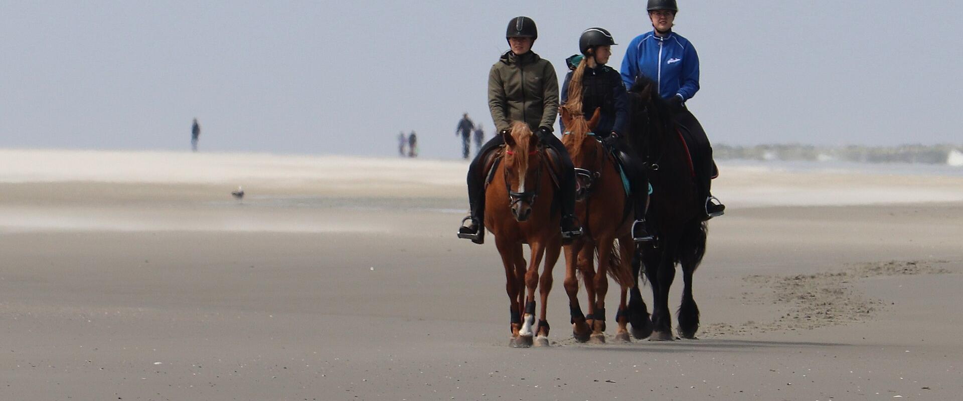 Horseriding