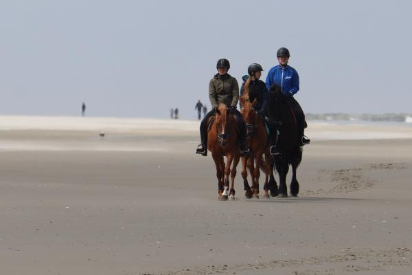 Horseriding