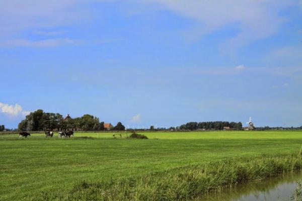 Lollum in Friesland van ver gezien