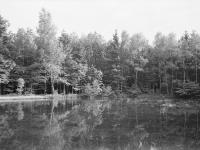 Country estates
