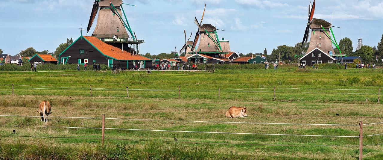 Windmills along the Zaan at Zaanse Schans