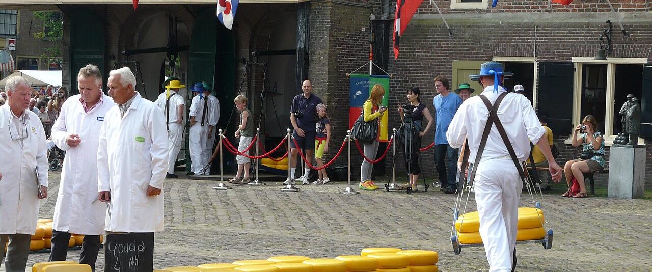 Cheese porters in white carrying a sledge of yellow cheeses across the Waagplein at the Alkmaar cheese market