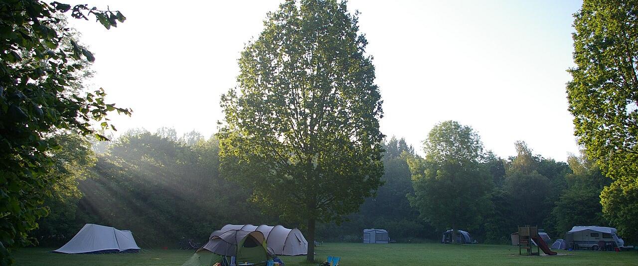 Tents on a grassy nature campsite at Dasselaar in the Netherlands, in early morning light