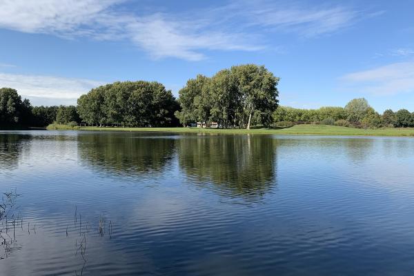 Lingebos Swimming Lake