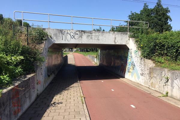 N70 trail