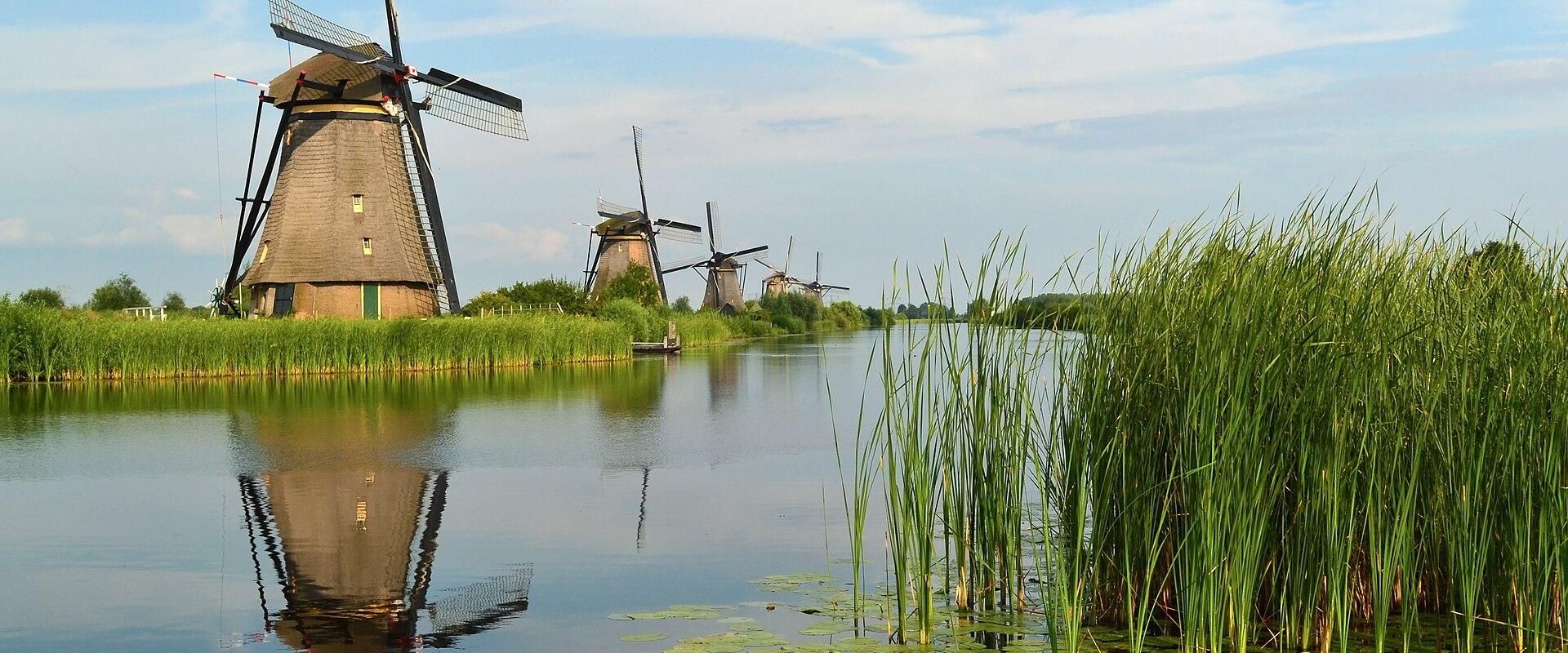 A Kinderdijk windmill reflected among the reeds