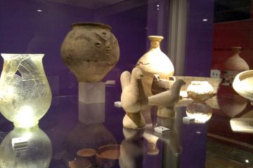 Cultural Experiences in Zutphen