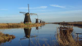 Randstad