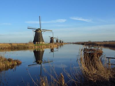 The windmills of Kinderdijk reflected in the polder water