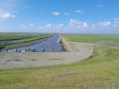 Salt marshes around the tiny harbour of Noordpolderzijl