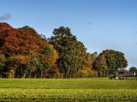 Achterhoek
