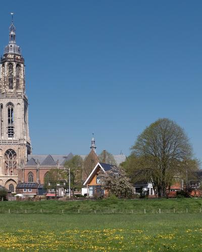 The Cunera tower of Rhenen above the meadows