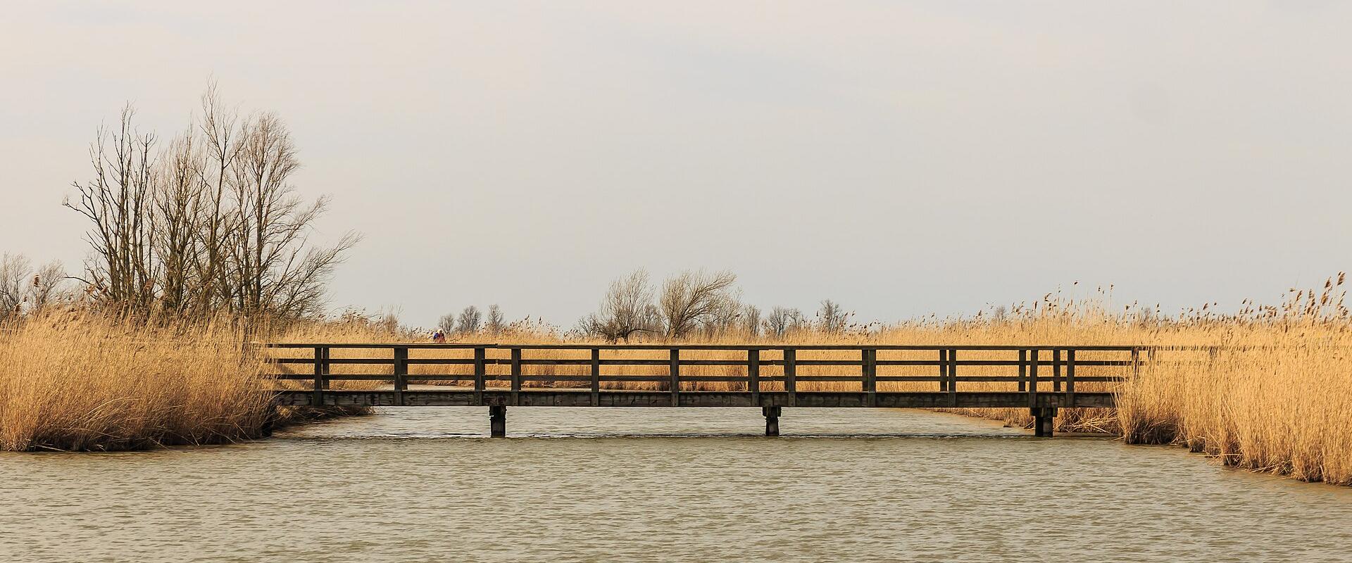 Oostvaardersplassen