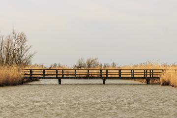 Oostvaardersplassen