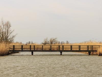Oostvaardersplassen