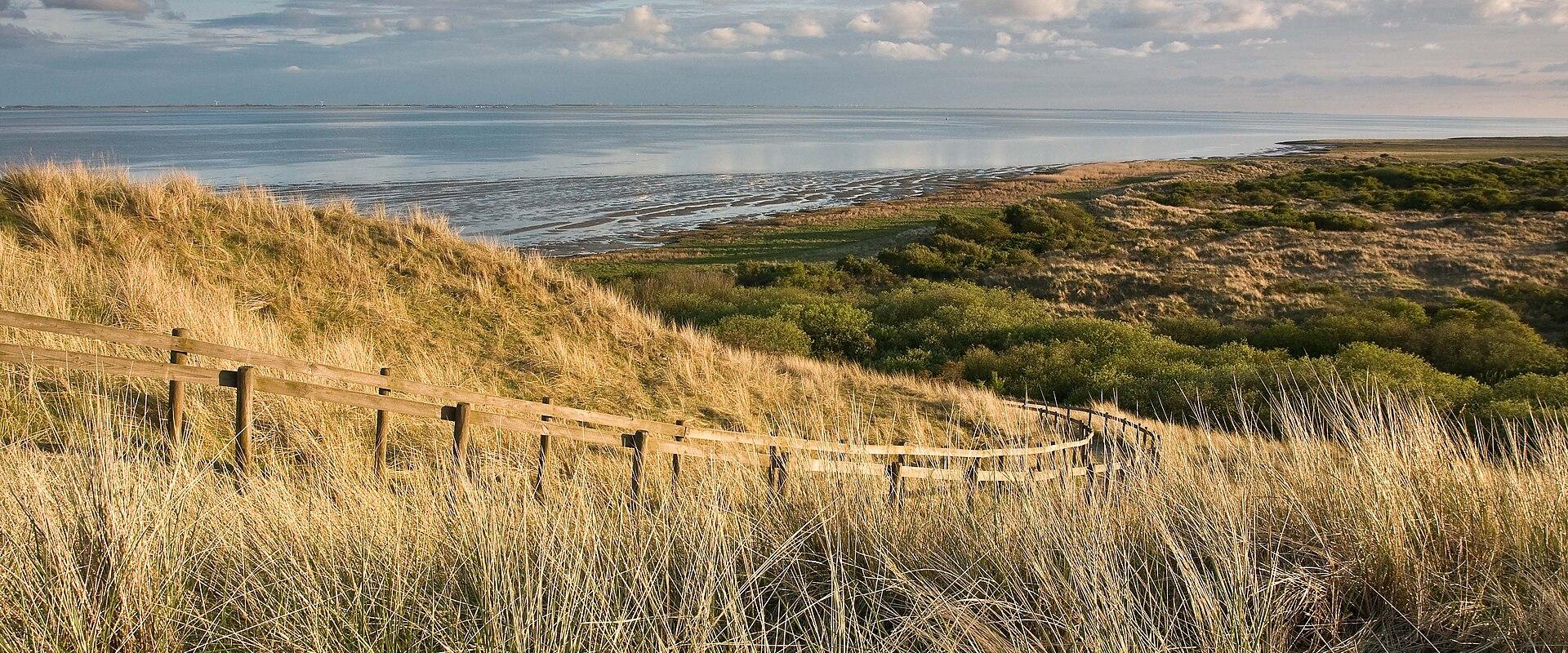 A wooden boardwalk winds through golden dune grasses towards a calm body of water and salt marshes under a cloudy sky.