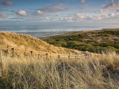 A wooden boardwalk winds through golden dune grasses towards a calm body of water and salt marshes under a cloudy sky.