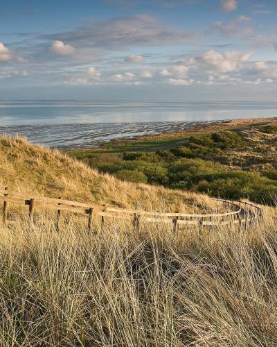 A wooden boardwalk winds through golden dune grasses towards a calm body of water and salt marshes under a cloudy sky.
