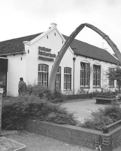 A black-and-white photograph showing a white brick building with the text "natuur historisch museum" on its facade, flanked by a large whale jawbone arch and an adjacent "zee aquarium" sign.