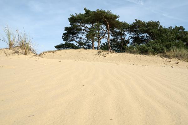 Rangers Trail (18.5 km)
