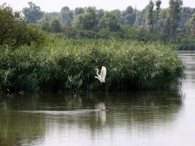 Lepelaarplassen