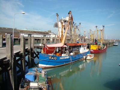 Fishing boats moored in the harbour of Breskens
