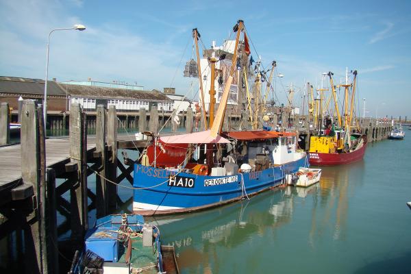 Breskens Fisheries Museum