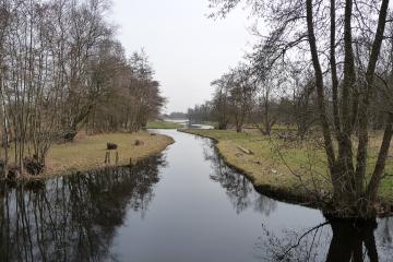 Loosdrechtse Plassen