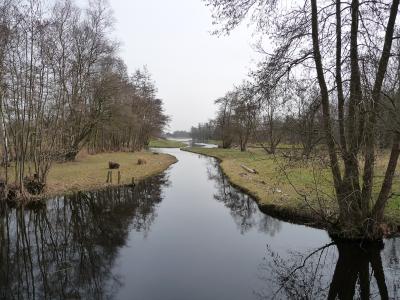Loosdrechtse Plassen