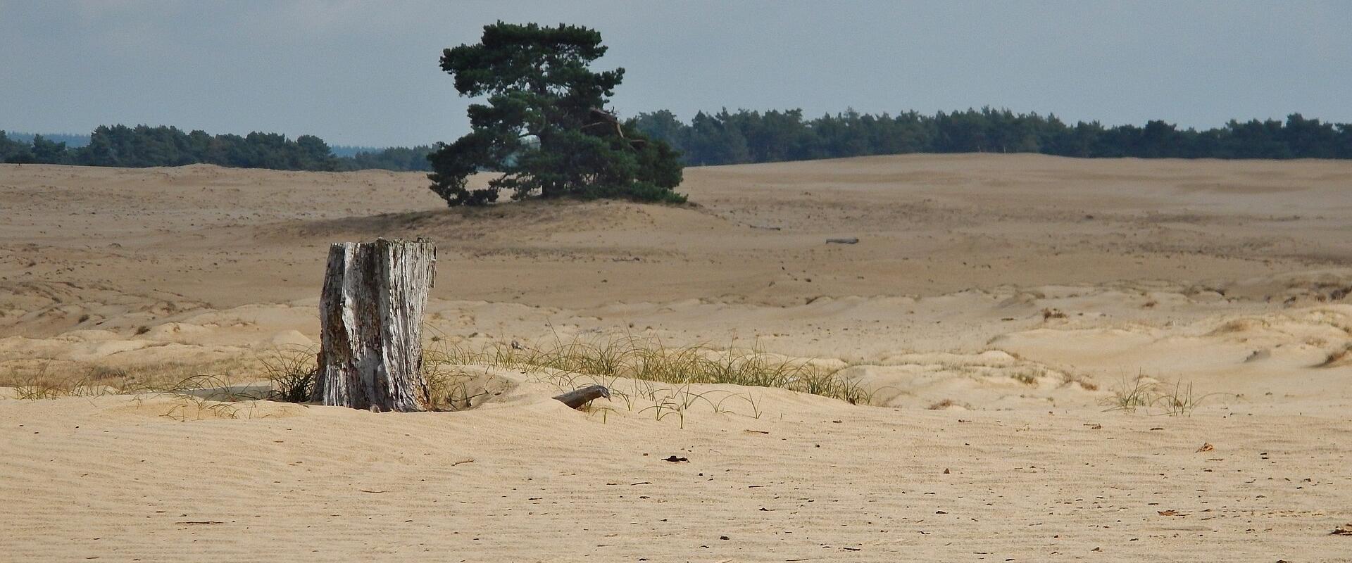 National Park De Hoge Veluwe